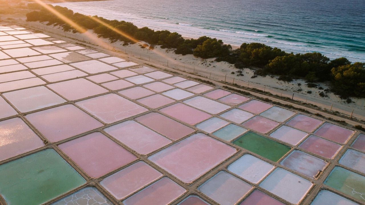 The salt pans of Ses Salines, used since antiquity.